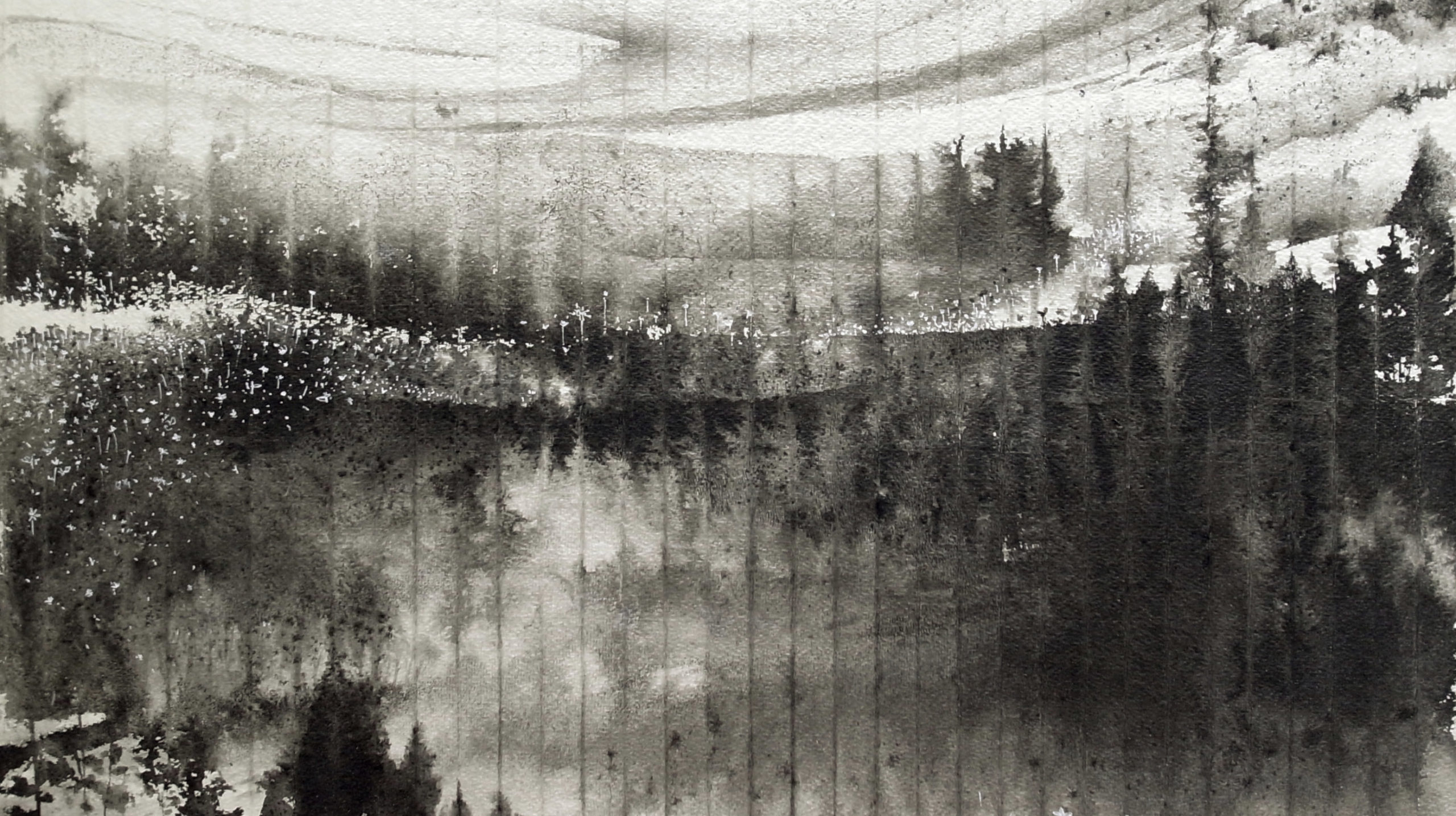 foret-noire_s_site